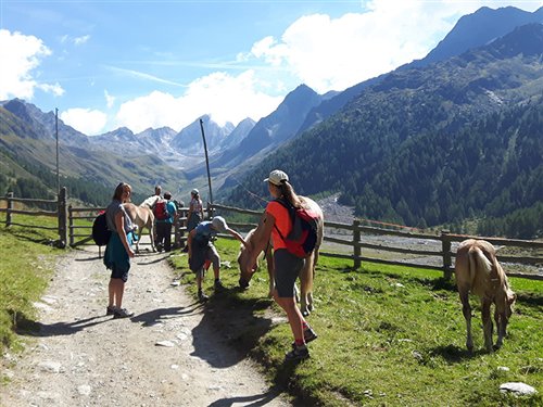 Wanderung Pferde